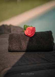 HÉLÈNE | Massage Périgord Vert